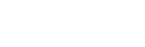 VISEMI Foundation